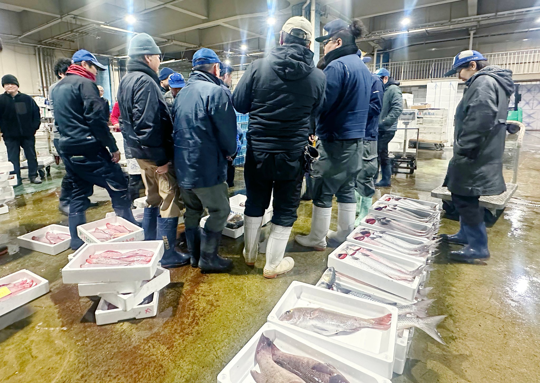 高松市中央卸売市場のセリ